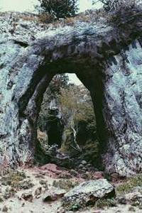 免费宝典下载苹果版安卓版-第2张图片-太平洋在线下载 免费宝典下载苹果版安卓版-第2张图片-太平洋在线下载