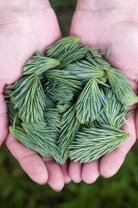 126邮箱手机版登录入口-第1张图片-太平洋在线下载