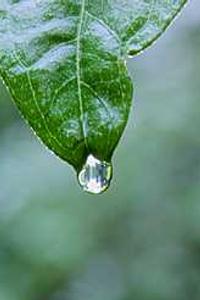 苹果6系统下载手机版