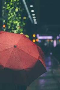 融租客苹果版下载-第1张图片-太平洋在线下载 融租客苹果版下载-第1张图片-太平洋在线下载