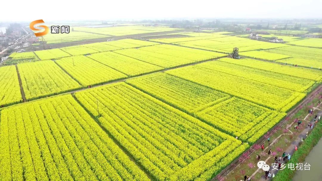 安乡新闻手机版安乡县今天头条新闻-第2张图片-太平洋在线下载
