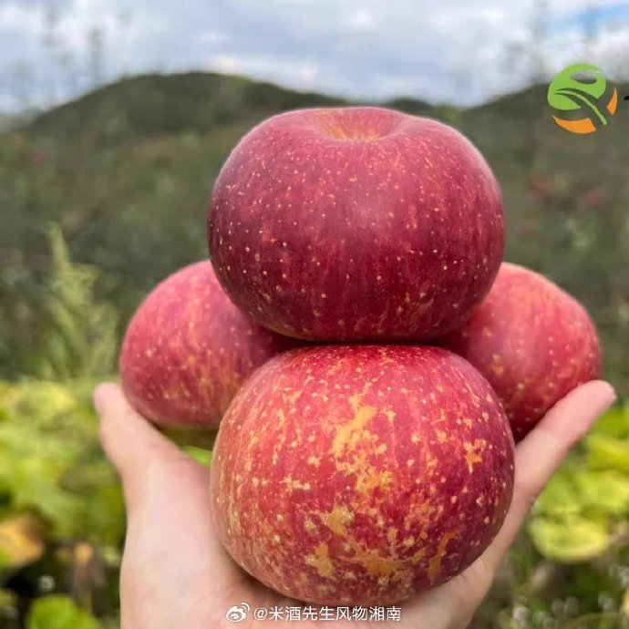 申通行苹果版申通快递员下载app最新版本