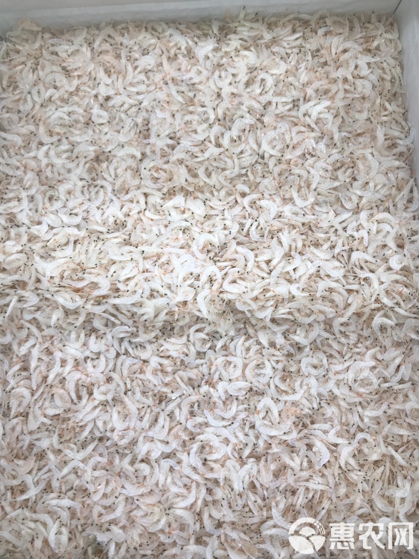 手机版虾皮虾皮可以手机操作