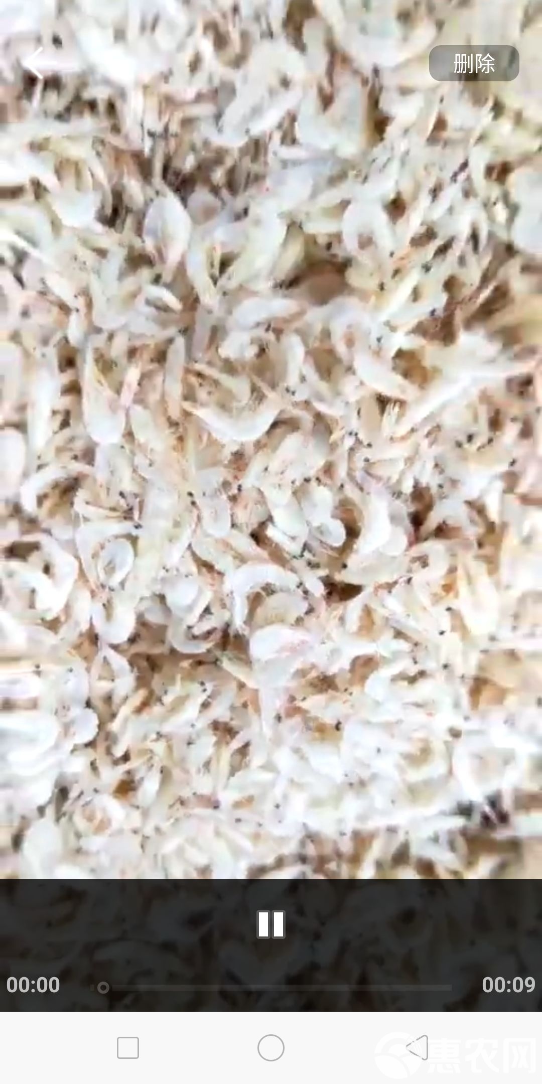 手机版虾皮虾皮可以手机操作-第2张图片-太平洋在线下载