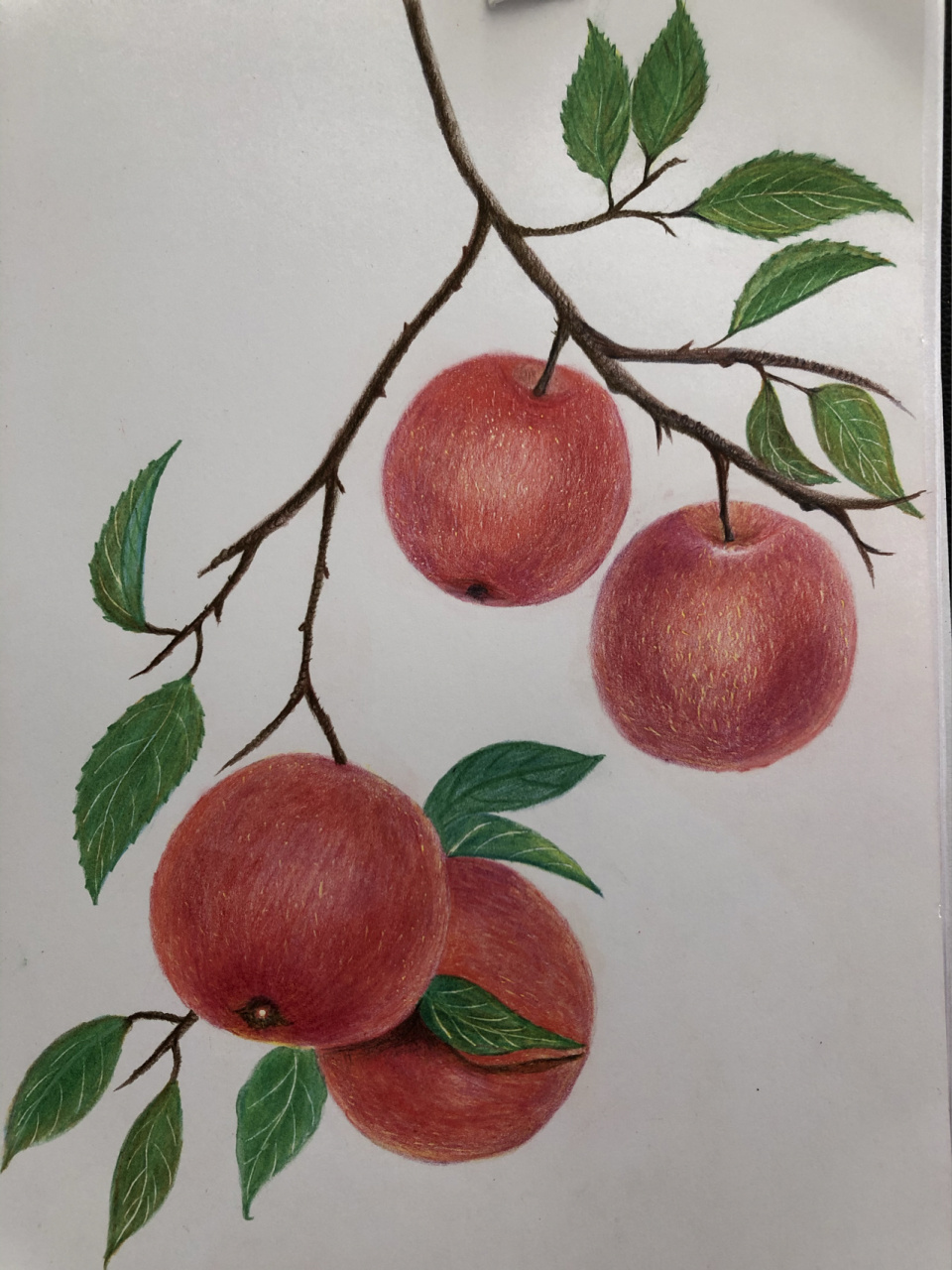 制作苹果绘画手机版苹果手机上的画画软件-第2张图片-太平洋在线下载