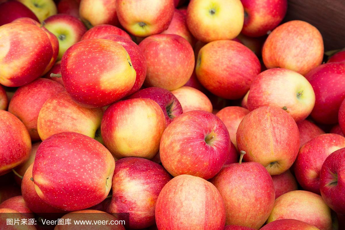 粉色版苹果(粉色版iphone)-第5张图片-QuickQ官网