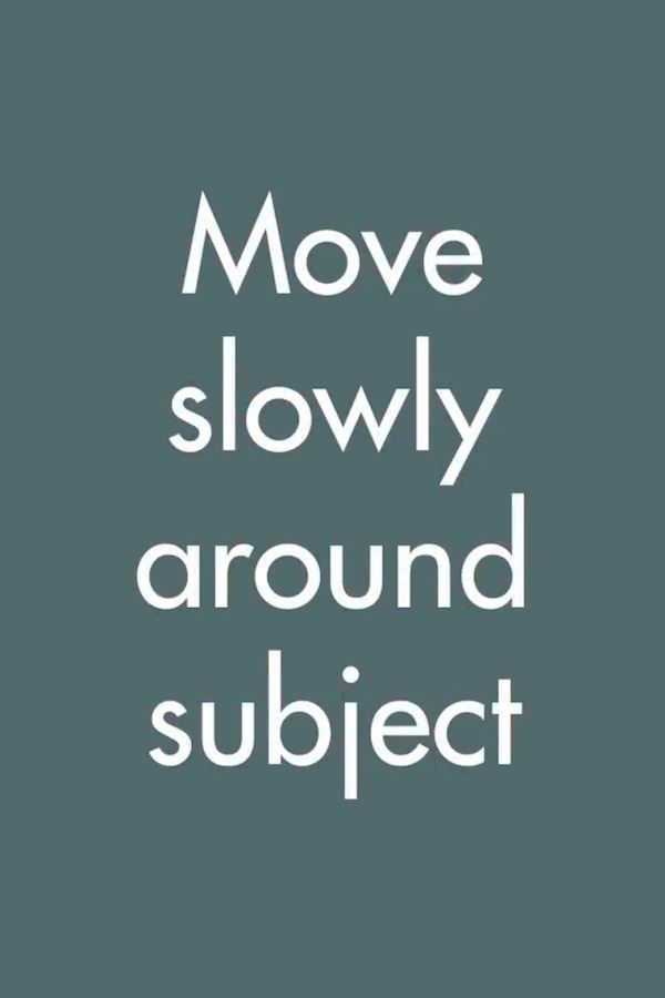 seene苹果版(Seetong苹果下载)-第3张图片-QuickQ官网