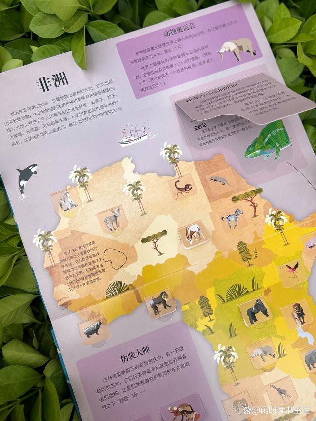 神奇的地图手机版(神奇地图卫星定位下载)-第1张图片-QuickQ官网